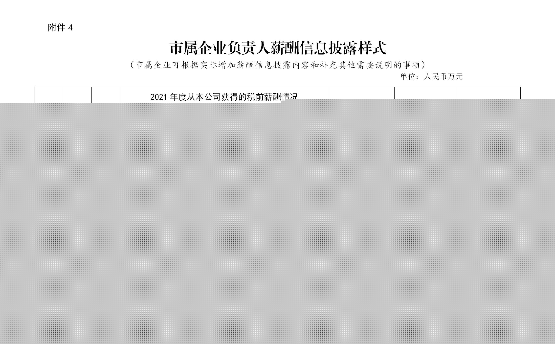 附件4：市屬企業(yè)負責(zé)人薪酬信息披露樣式(1)_01.jpg